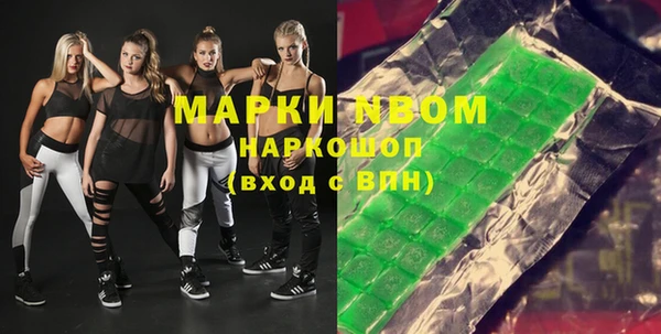 стаф Алзамай