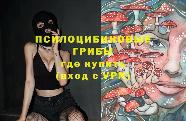a pvp Алексеевка